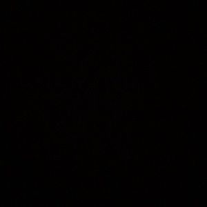 Meet your Posher, Kamry